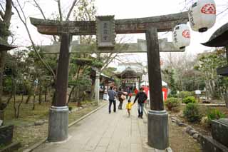 fotografia, material, livra, ajardine, imagine, proveja fotografia,Santurio de Eshima santurio de Okutsu, lanterna, torii, Uma aproximao para um santurio, Xintosmo