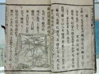 photo,material,free,landscape,picture,stock photo,Creative Commons,Meiji-mura Village Museum textbook, Study, textbook, Marijuana, Cultural heritage