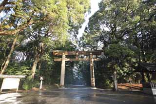 fotografia, materiale, libero il panorama, dipinga, fotografia di scorta,Torii di Sacrario di Meiji, L'imperatore, Sacrario scintoista, torii, Un approccio ad un sacrario