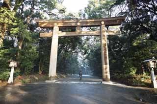 fotografia, material, livra, ajardine, imagine, proveja fotografia,Meiji Santurio torii, O imperador, Santurio de Xintosmo, torii, Uma aproximao para um santurio