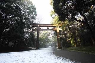 fotografia, materiale, libero il panorama, dipinga, fotografia di scorta,Torii di Sacrario di Meiji, L'imperatore, Sacrario scintoista, torii, Un approccio ad un sacrario