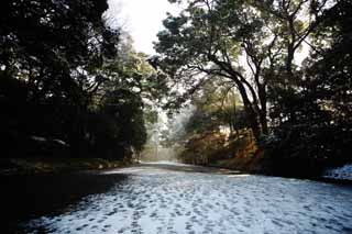 fotografia, material, livra, ajardine, imagine, proveja fotografia,Meiji Santurio aproximao para um santurio, O imperador, Santurio de Xintosmo, Neve, Uma aproximao para um santurio