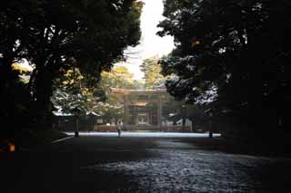 fotografia, material, livra, ajardine, imagine, proveja fotografia,Meiji Santurio torii, O imperador, Santurio de Xintosmo, torii, Uma aproximao para um santurio