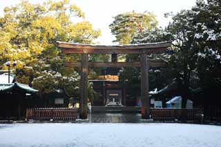 photo, la matire, libre, amnage, dcrivez, photo de la rserve,Torii de Temple Meiji, L'empereur, Temple shintoste, torii, Neige