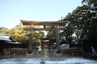 photo,material,free,landscape,picture,stock photo,Creative Commons,Meiji Shrine torii, The Emperor, Shinto shrine, torii, Snow