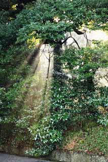 Foto, materieel, vrij, landschap, schilderstuk, bevoorraden foto,De verlichting van de orakel, Sei Godheid, Maak lijn aan, Heilig helder, Helderheid