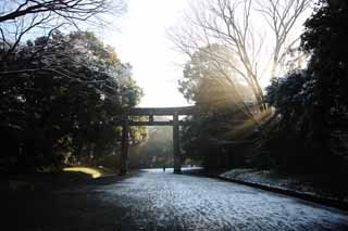 Foto, materiell, befreit, Landschaft, Bild, hat Foto auf Lager,Das Licht des Orakels, Sei God, leichte Linie, torii, Helligkeit