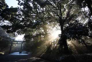 Foto, materieel, vrij, landschap, schilderstuk, bevoorraden foto,De verlichting van de orakel, Sei Godheid, Maak lijn aan, Heilig helder, Helderheid