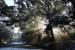 photo,material,free,landscape,picture,stock photo,Creative Commons,The light of the oracle, Sei God, light line, Sacred light, Brightness