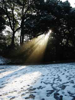 fotografia, materiale, libero il panorama, dipinga, fotografia di scorta,La luce dell'oracolo, Sei Dio, linea leggera, Luce sacra, Luminosit