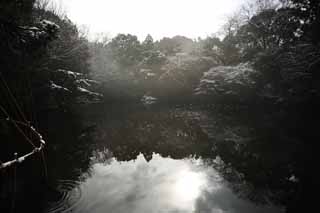 Foto, materiell, befreit, Landschaft, Bild, hat Foto auf Lager,Meiji Shrine Imperial Garten, Schintoistischer Schrein, Teich, Der Kaiser, Natur