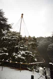 , , , , ,  .,Meiji Shrine Imperial , Shinto shrine, - - , ,  fishing