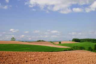 Foto, materieel, vrij, landschap, schilderstuk, bevoorraden foto,Bouwland en bewolken, Voedingsbodem, Wolk, Blauwe lucht, Veld