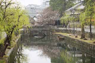 Foto, materiell, befreit, Landschaft, Bild, hat Foto auf Lager,Kurashiki Imahashi, Traditionelle Kultur, steinigen Sie Brcke, Weide, Die Geschichte