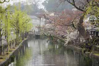 foto,tela,gratis,paisaje,fotografa,idea,Kurashiki Kurashiki ro, Cultura tradicional, Cerezo, Cultura japonesa, La historia