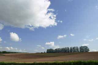 photo, la matire, libre, amnage, dcrivez, photo de la rserve,Ligne de l'arbre, terrain agricole et nuage, bosquet, nuage, ciel bleu, champ