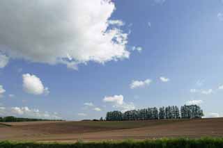 Foto, materieel, vrij, landschap, schilderstuk, bevoorraden foto,Boom lijn, bouwland, en bewolken, Gaarde, Wolk, Blauwe lucht, Veld