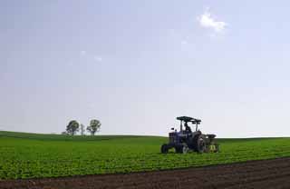 photo,material,free,landscape,picture,stock photo,Creative Commons,Working tractor, agricultural machinery, parent-child tree, blue sky, tractor