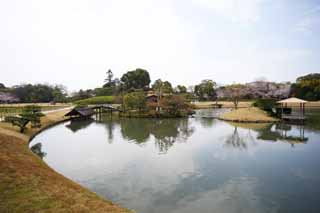 foto,tela,gratis,paisaje,fotografa,idea,La laguna del pantano de jardn de Koraku - en, Cabina de descanso, Castillo, Cerezo, Jardn japons