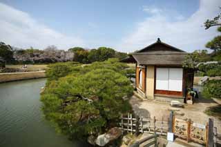 Foto, materieel, vrij, landschap, schilderstuk, bevoorraden foto,Korakuen Eiland rustende kraam, Rustende kraam, Brug, Thee-plechtigheid kamer, Japanse tuin