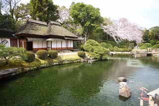 Foto, materiell, befreit, Landschaft, Bild, hat Foto auf Lager,Koraku-en-Garten Renchiken, shoji, Japanisch-Stilgebude, Stroh-gedecktes mit Stroh Dach, Karpfen