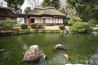 Foto, materieel, vrij, landschap, schilderstuk, bevoorraden foto,Koraku-en Garden Renchiken, Shoji, Jap-trant gebouw, Stro-thatched bekapen, Karper