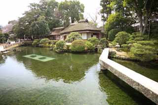 photo,material,free,landscape,picture,stock photo,Creative Commons,Koraku-en Garden Renchiken, shoji, Japanese-style building, straw-thatched roof, carp