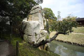 foto,tela,gratis,paisaje,fotografa,idea,Piedra de pelea multitudinaria de jardn de Koraku - en, Techo cubrir con paja por pajita, Shoji, Habitacin de ceremonia del t, Edificio japons