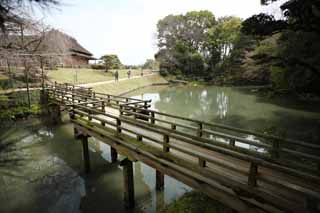 Foto, materieel, vrij, landschap, schilderstuk, bevoorraden foto,De waterplas van de Koraku-en Tuin floral vel, Brug, Ik ben van hout, Balustrade, Japanse tuin