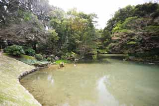 fotografia, materiale, libero il panorama, dipinga, fotografia di scorta,Lo stagno del Koraku-en Garden foglia floreale, ponte, Io sono di legno, ringhiera, I giapponesi fanno del giardinaggio