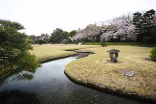 Foto, materieel, vrij, landschap, schilderstuk, bevoorraden foto,Koraku-en beek Tuinieren, Vaarwater, Pijnboom, Kers boom, Japanse tuin