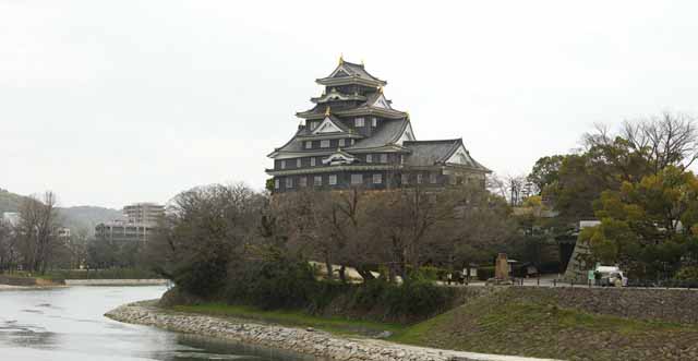 fotografia, materiale, libero il panorama, dipinga, fotografia di scorta,Okayama-jo il Castello, castello, La torre di castello, Castello di corvo, 