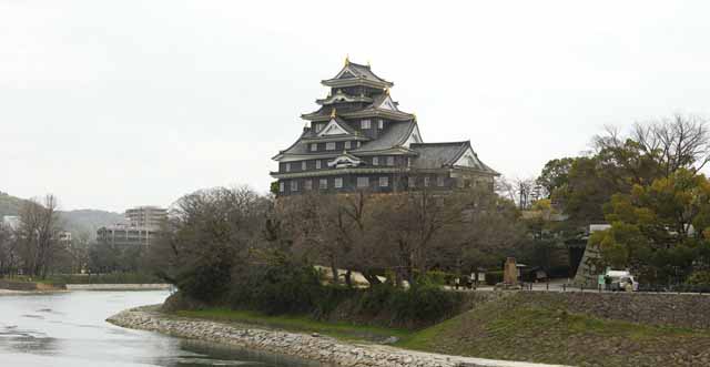 Foto, materiell, befreit, Landschaft, Bild, hat Foto auf Lager,Okayama-jo Burg, Burg, Der Burgturm, Krhen Sie Burg, 