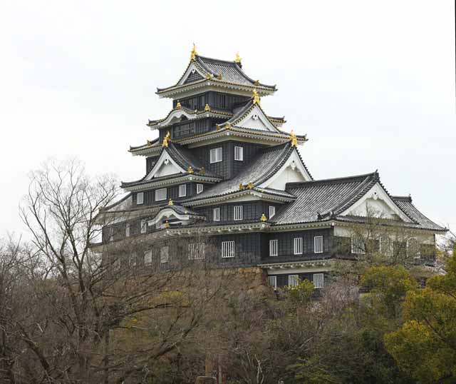 Foto, materieel, vrij, landschap, schilderstuk, bevoorraden foto,Okayama-jo Kasteel, Kasteel, Het kasteel toren, Kraai Kasteel, 