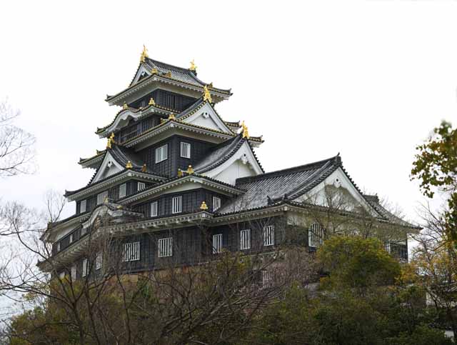 Foto, materieel, vrij, landschap, schilderstuk, bevoorraden foto,Okayama-jo Kasteel, Kasteel, Het kasteel toren, Kraai Kasteel, 