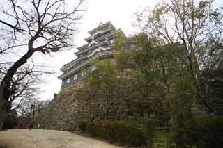 foto,tela,gratis,paisaje,fotografa,idea,Castillo de Okayama - jo, Castillo, La torre de castillo, Castillo de Crow, 