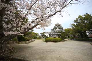 Foto, materiell, befreit, Landschaft, Bild, hat Foto auf Lager,Okayama-jo Burg, Burg, Der Burgturm, Krhen Sie Burg, 