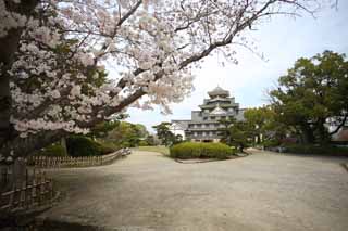 foto,tela,gratis,paisaje,fotografa,idea,Castillo de Okayama - jo, Castillo, La torre de castillo, Castillo de Crow, 