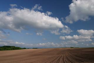 photo,material,free,landscape,picture,stock photo,Creative Commons,Clear blue summer sky, field, cloud, blue sky, blue