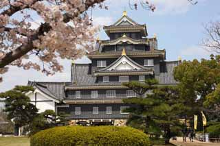 photo, la matire, libre, amnage, dcrivez, photo de la rserve,Okayama-jo Chteau, chteau, La tour de chteau, Chantez le chteau, 