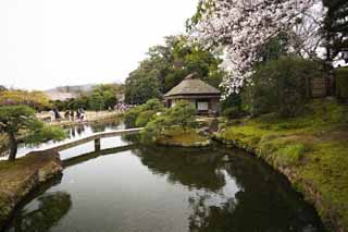 Foto, materiell, befreit, Landschaft, Bild, hat Foto auf Lager,Koraku-en-Garten, shoji, Japanisch-Stilgebude, Stroh-gedecktes mit Stroh Dach, Karpfen