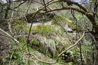 foto,tela,gratis,paisaje,fotografa,idea,Tnel de mina de - plata - de Iwami, La galera, Vena, Un depsito eterno, Somo