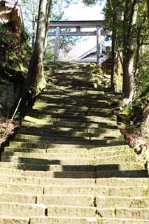 photo, la matire, libre, amnage, dcrivez, photo de la rserve,Poison du rat arsenical d'Iwami-argent-mine Temple Sahimeyama, escalier de pierre, torii, Mt. Sanbe-san, Dieu de montagne