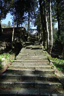 fotografia, material, livra, ajardine, imagine, proveja fotografia,Veneno de rato arsnico de Iwami-prata-mina Santurio de Sahimeyama, apedreje escada, torii, Mt. Sanbe-san, Deus monts