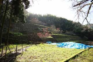 fotografia, materiale, libero il panorama, dipinga, fotografia di scorta,Veleno di ratto di arsenicale da Iwami-argento-miniera Sacrario di Sahimeyama, prenda a sassate scalinata, Festone di paglia scintoista, Mt. Sanbe-san, Montagna dio