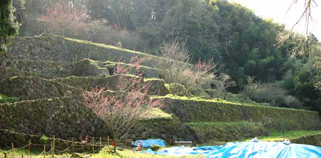 fotografia, materiale, libero il panorama, dipinga, fotografia di scorta,Veleno di ratto di arsenicale da Iwami-argento-miniera Sacrario di Sahimeyama, prenda a sassate scalinata, Festone di paglia scintoista, Mt. Sanbe-san, Montagna dio