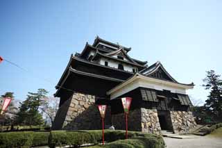 photo,material,free,landscape,picture,stock photo,Creative Commons,The Matsue-jo Castle castle tower, pine, Piling-stones, castle, Ishigaki