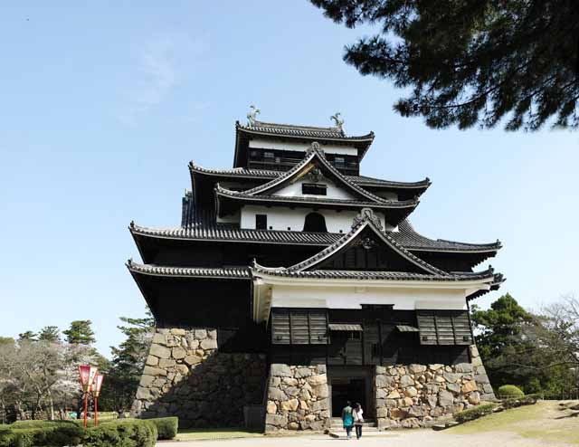 Foto, materieel, vrij, landschap, schilderstuk, bevoorraden foto,De Matsue-jo Kasteel kasteel toren, Kers boom, Heiwerk-Stones, Kasteel, Ishigaki