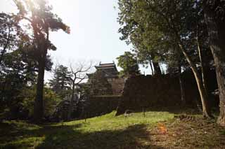 fotografia, materiale, libero il panorama, dipinga, fotografia di scorta,Il Matsue-jo torre di castello di Castello, pino, Accumulare-pietre, castello, Ishigaki