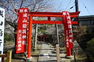 Foto, materiell, befreit, Landschaft, Bild, hat Foto auf Lager,Shiroyama Inari-Schrein, torii, Schintoistischer Schrein, steinigen Sie Laterne, Schintoismus